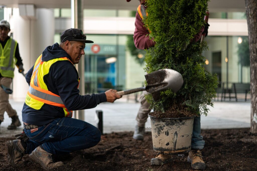 8th Ave Place – photo 9