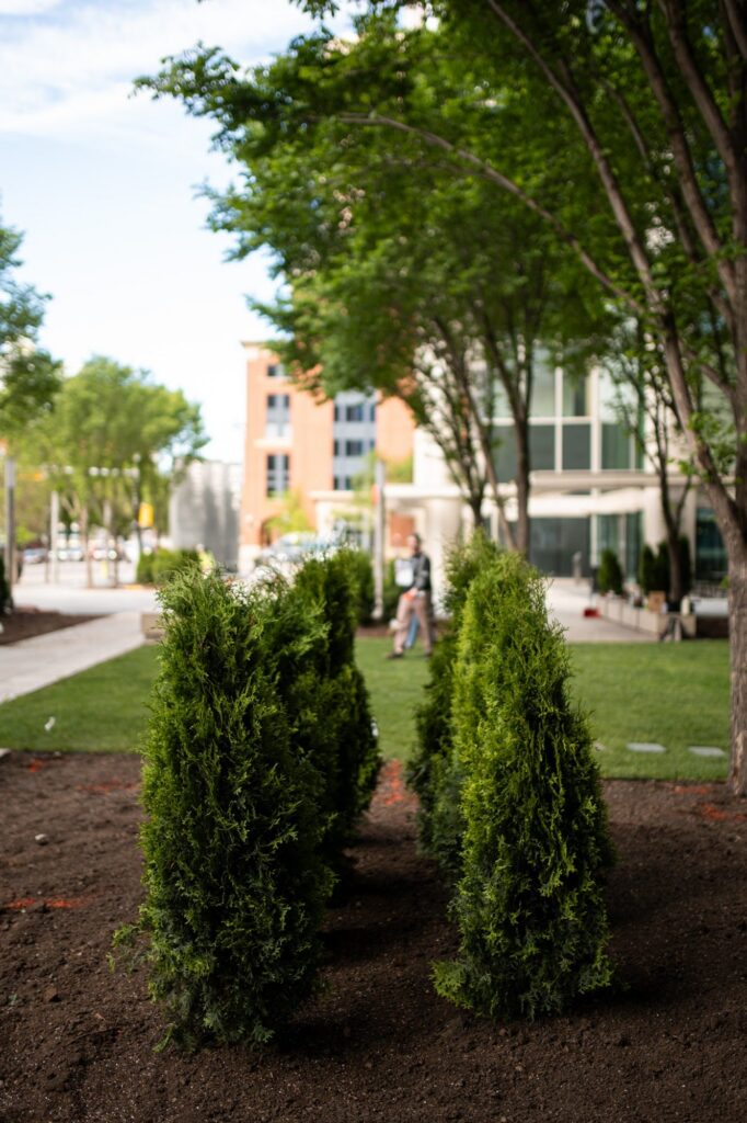 8th Ave Place – photo 14