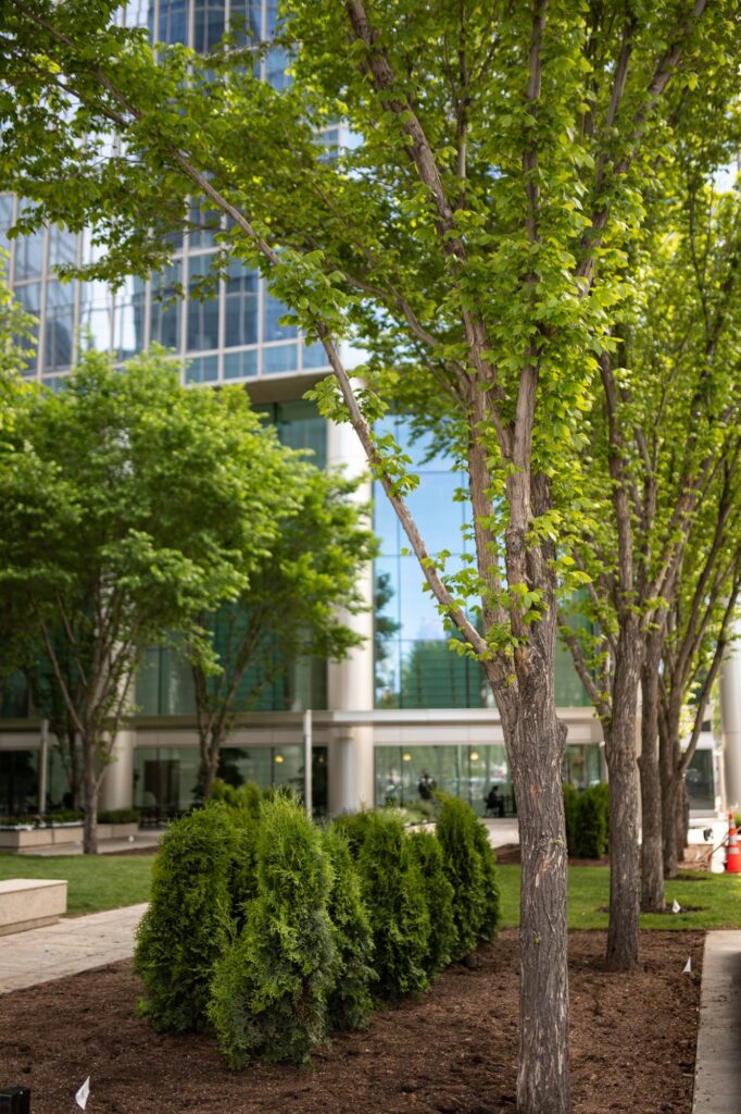 8th Ave Place – photo 16