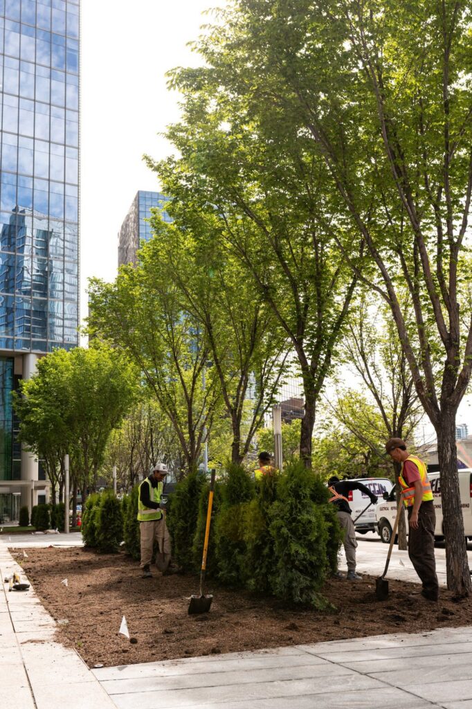 8th Ave Place – photo 18