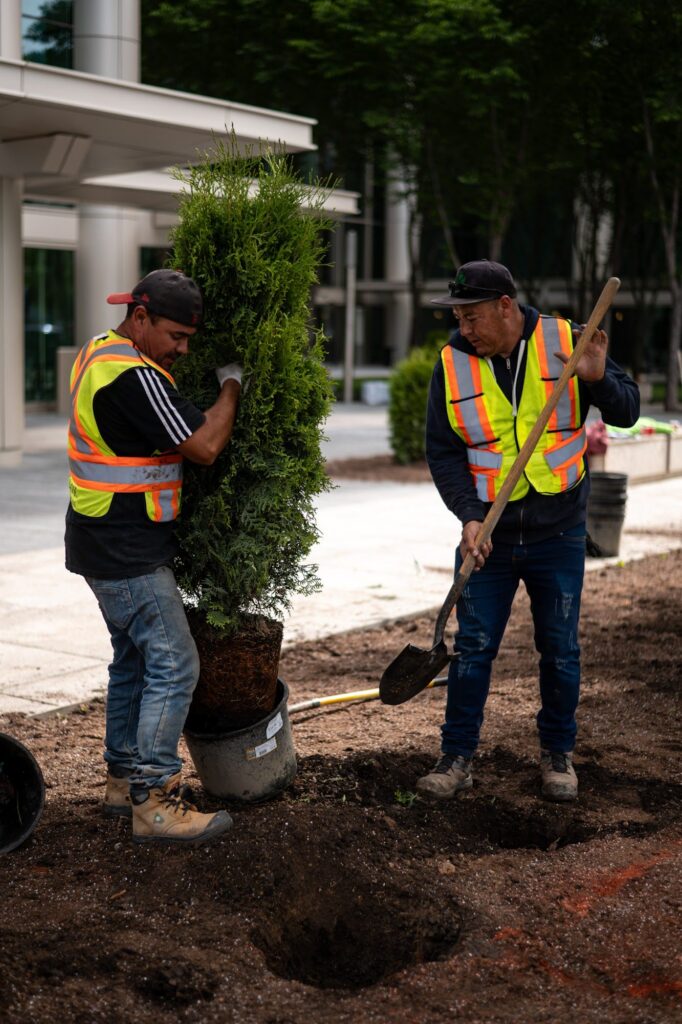 8th Ave Place – photo 21