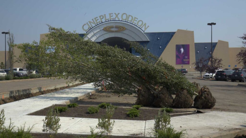 Cineplex / Rec Room – photo 1