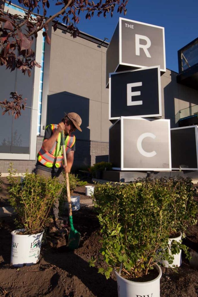 Cineplex / Rec Room – photo 11