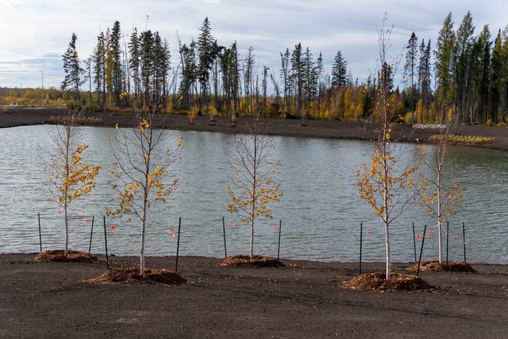 East Pioneer Development – photo 5