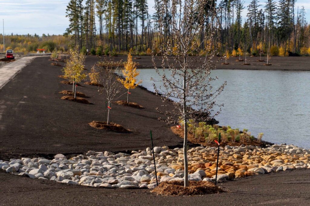 East Pioneer Development – photo 6