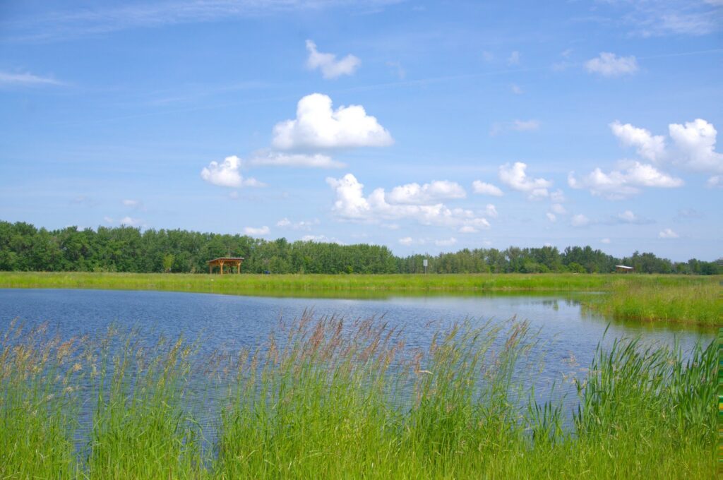 Fort Centre Park – photo 2