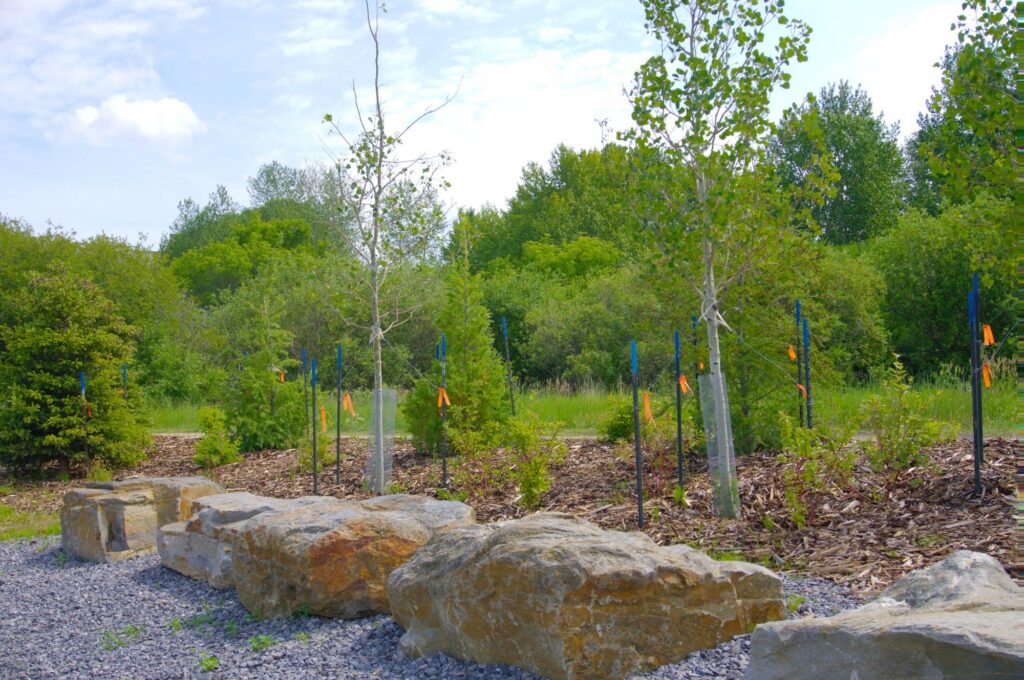Fort Centre Park – photo 4