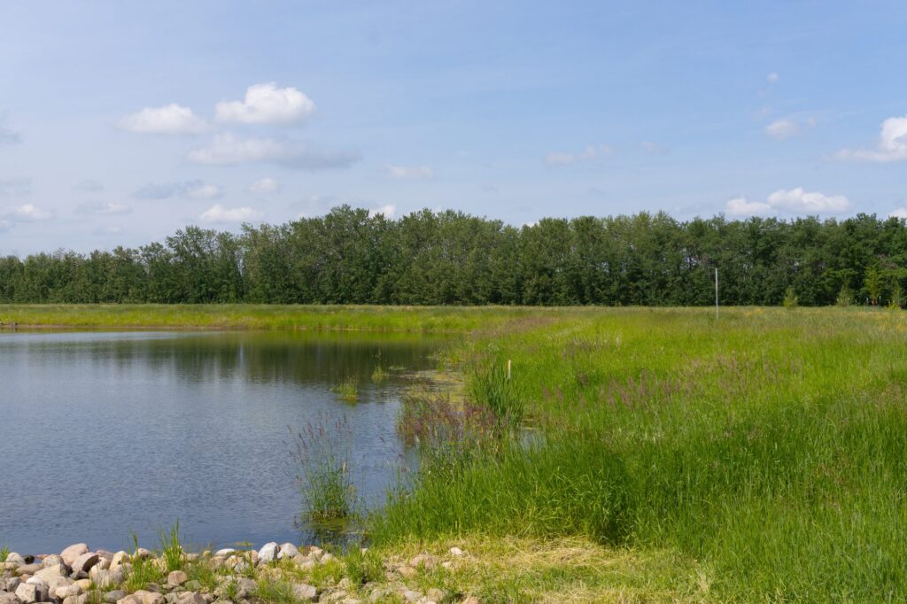 Fort Centre Park – photo 6