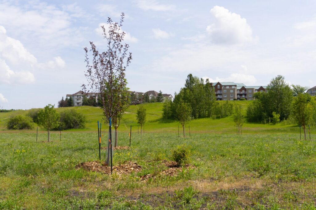Fort Centre Park – photo 8