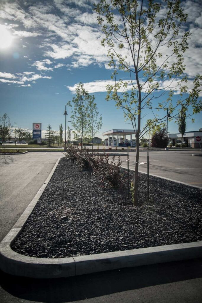 Shoppers Drug Mart – photo 9