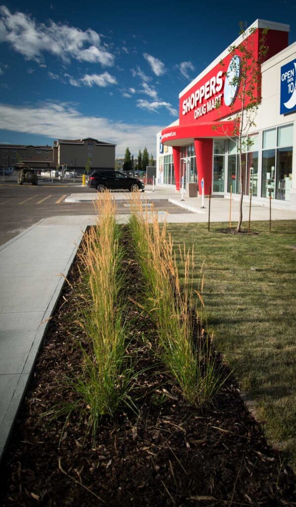 Shoppers Drug Mart – photo 11