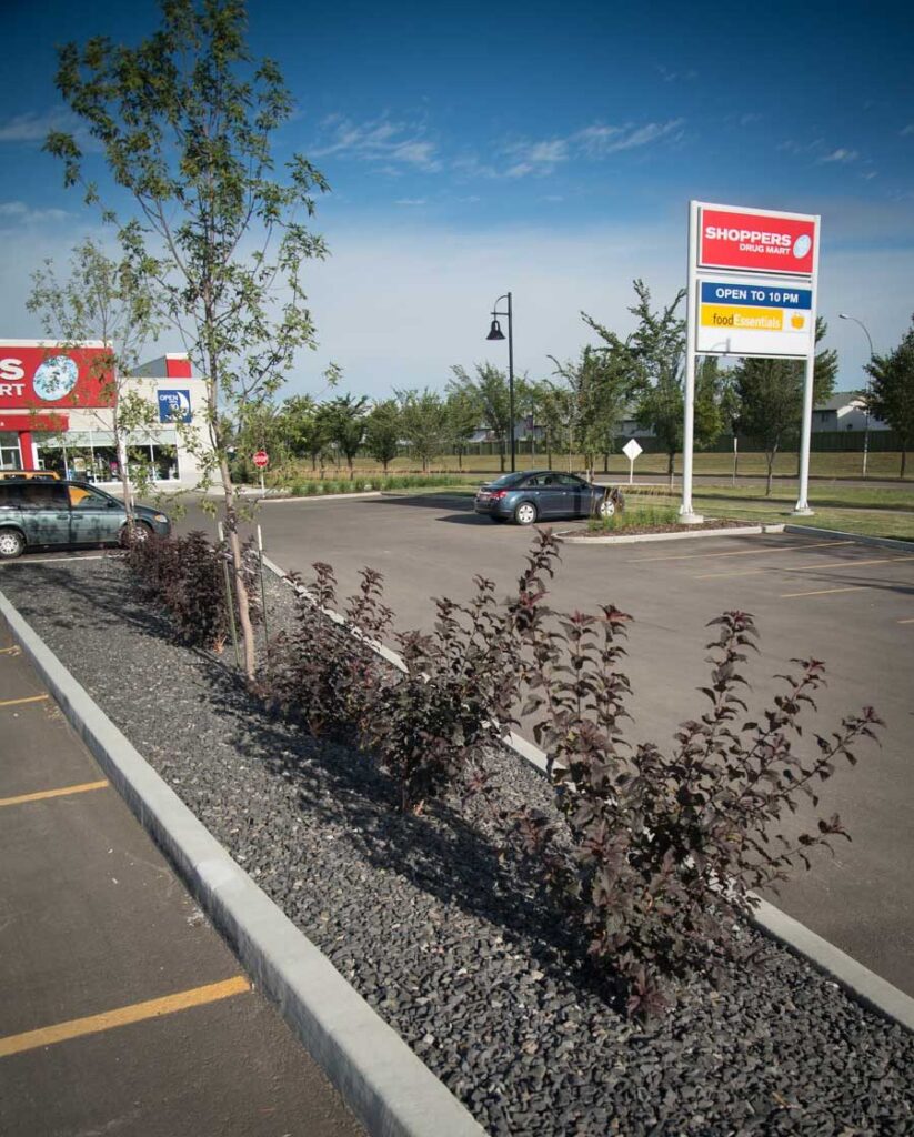 Shoppers Drug Mart – photo 14