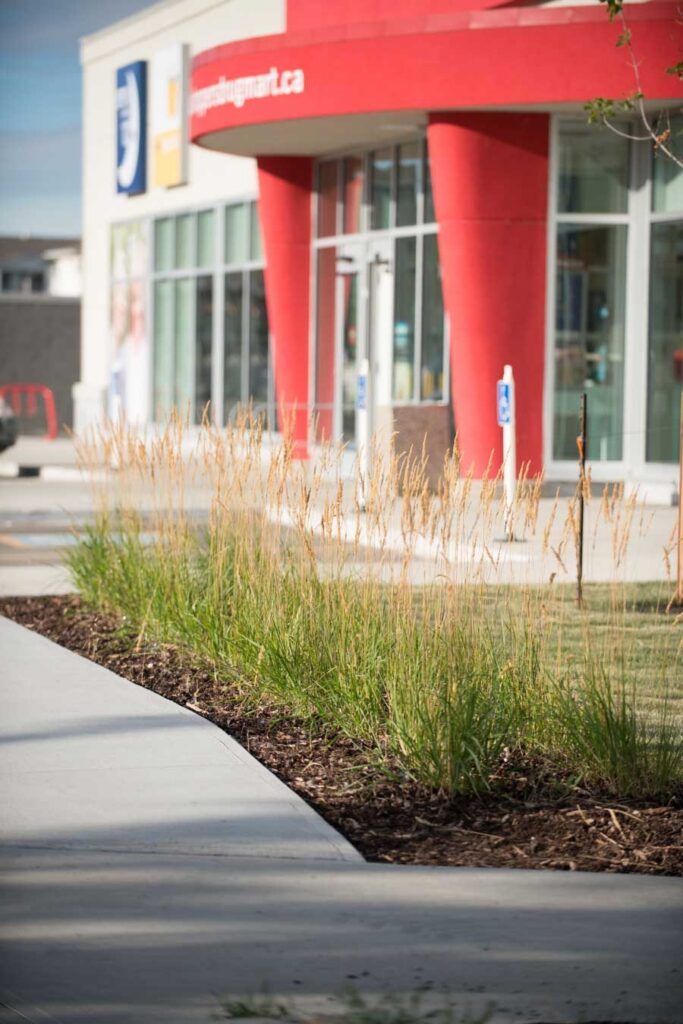 Shoppers Drug Mart – photo 16
